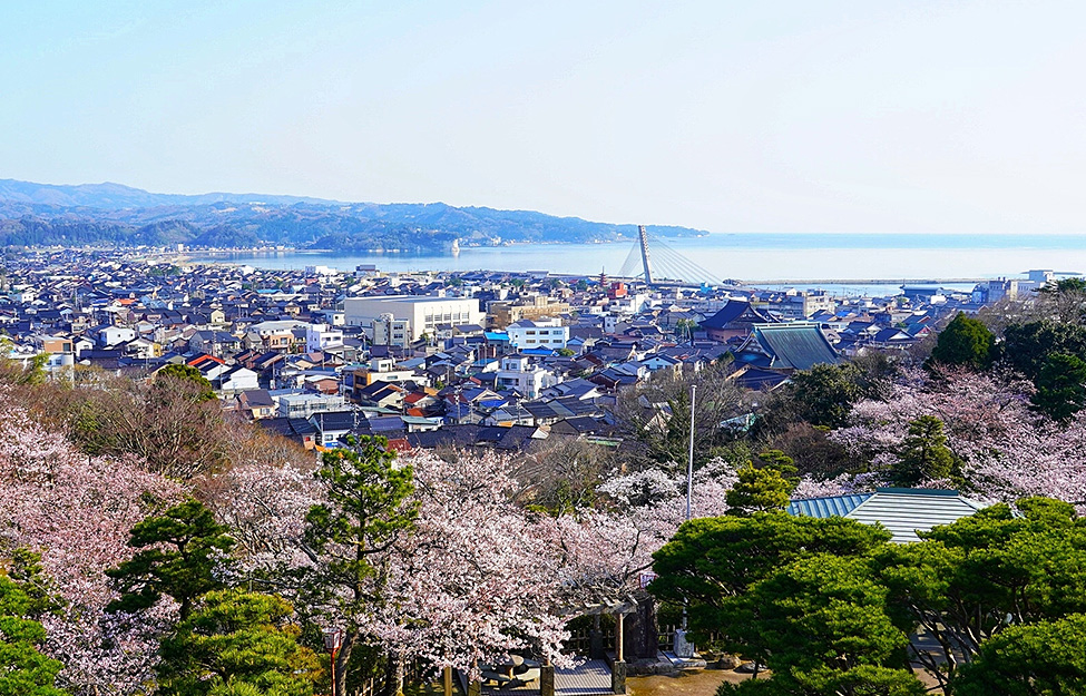 桜と氷見の町並み